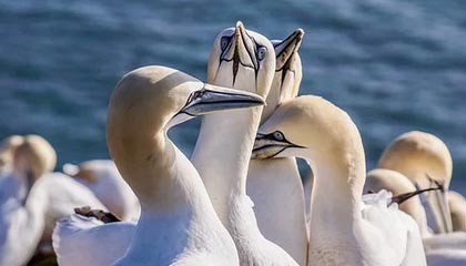 爱游戏登陆入口-中国女足珀斯首训：唐佳丽单独训练，陈巧珠缺席|体育场|夏季奥林匹克运动会|朝鲜|俱乐部|奥林匹克_新浪体育_新浪新闻